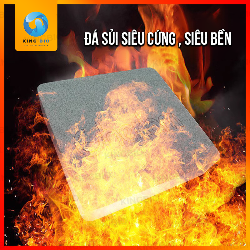 Đĩa sủi oxy cao cấp Cherlam – bọt oxy siêu mịn, chân đế inox