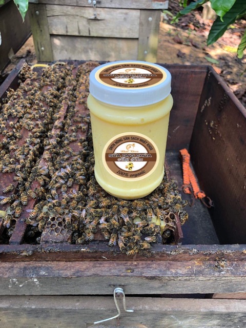 100G Sữa Ong Chúa Tươi 100% Đạt Attp