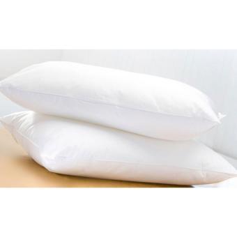 Ruột Gối Nằm Lông Vũ Feather Pillow