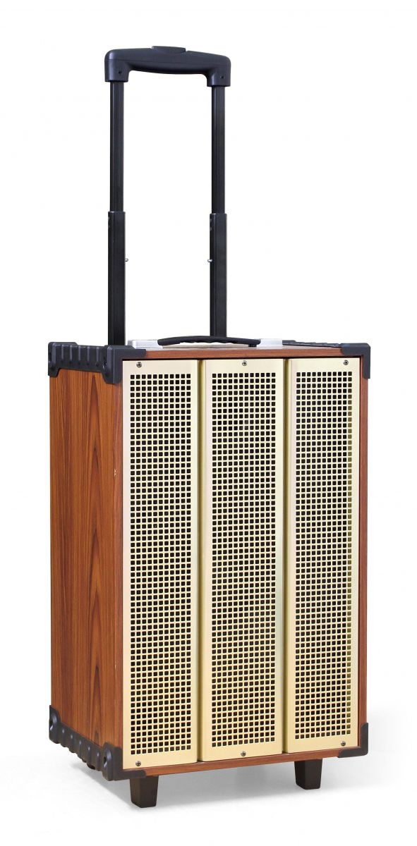 Loa kéo Bluetooth di động Arirang MKS1