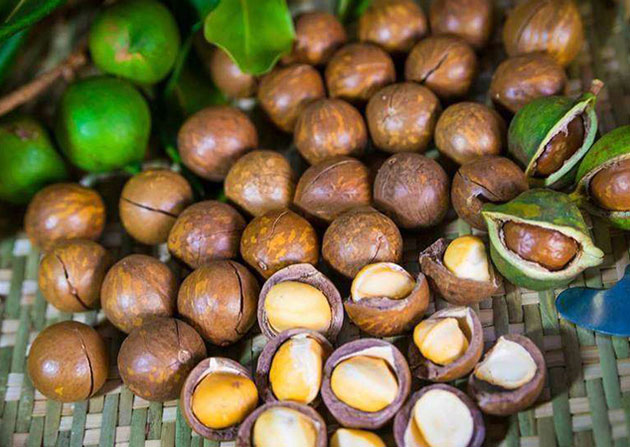 Hạt Mắc ca Mỹ còn võ mỏng cao cấp 500g