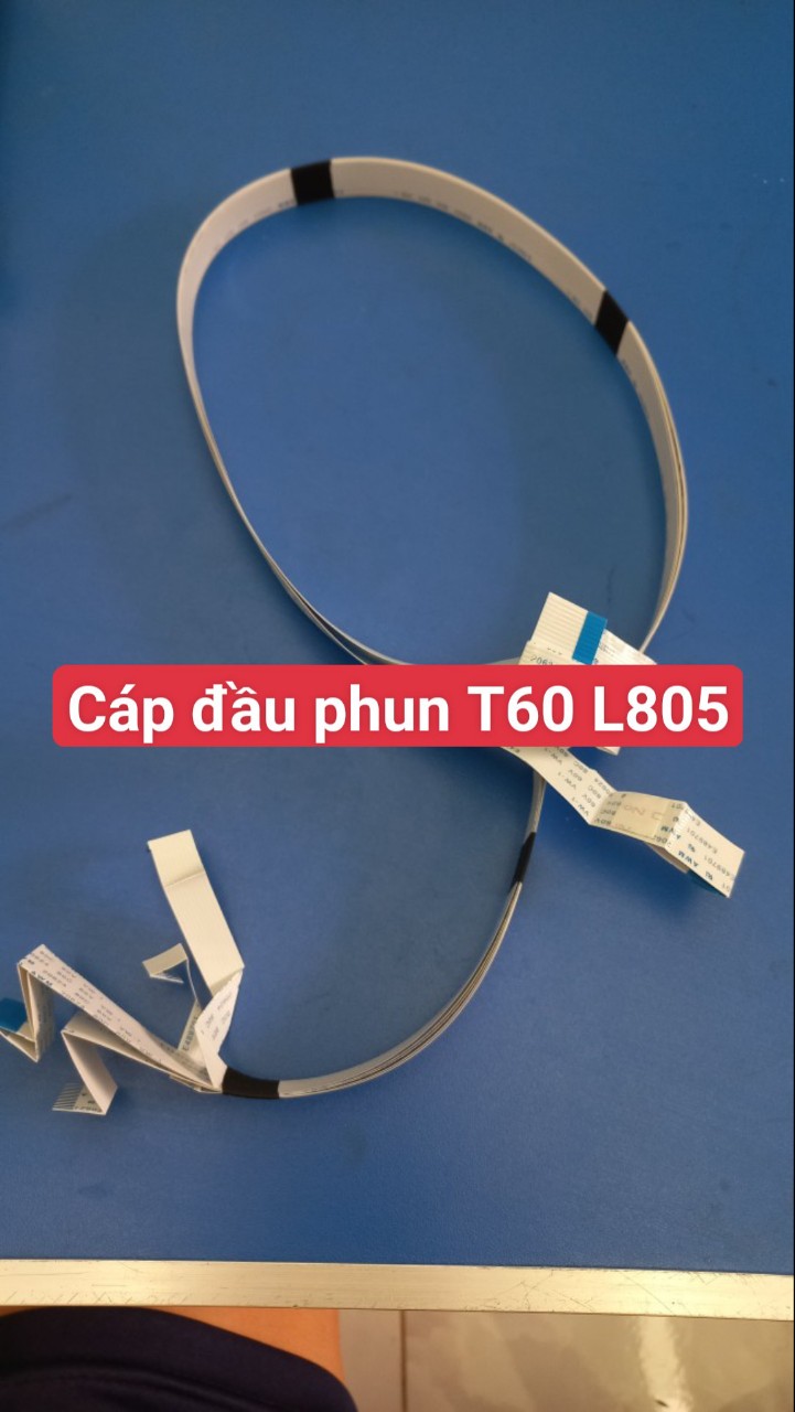 Cáp đầu phun máy in epson t50 t60 l800 l805 mới 100%