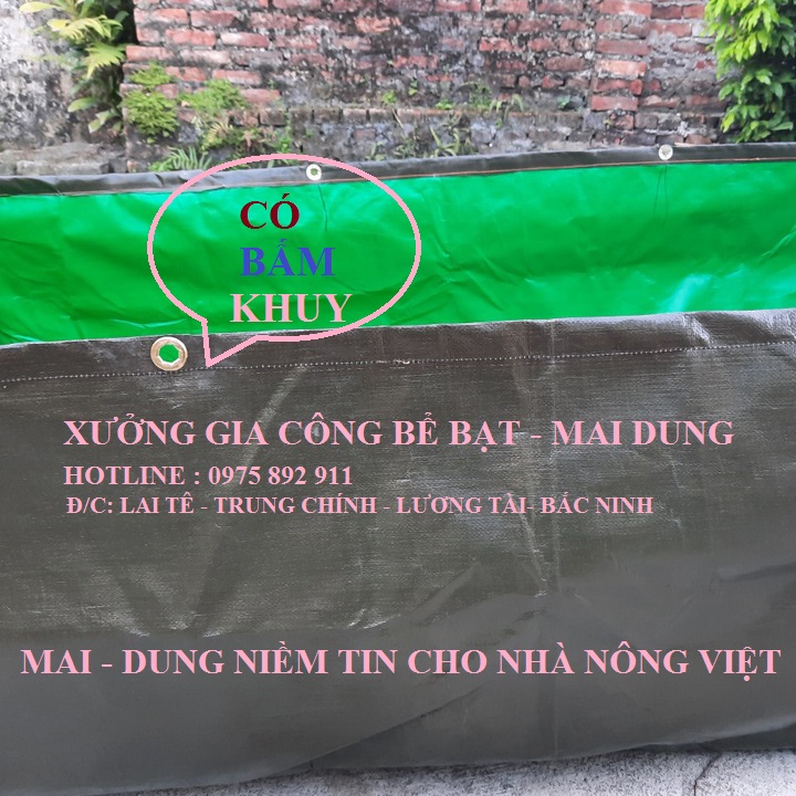 Bể bạt nuôi ốc ếch , cá lươn - loại xanh bộ đội
