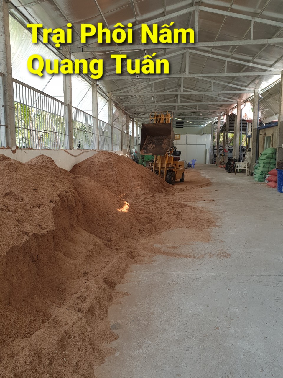 Combo : Phôi Nấm Mối Đen(01 kiện hàng 7 bịch) Có Mụn Dừa Đủ Trồng