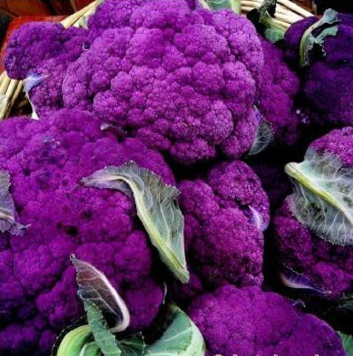 "Gói 20 "Hạt giống Súp lơ Tím [Seeds]
