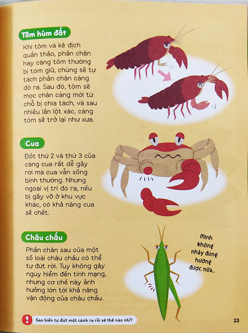 Sách cho bé - Gi Gỉ Gì Gi Cái Gì Cũng Biết - Dành Cho Lớp 3