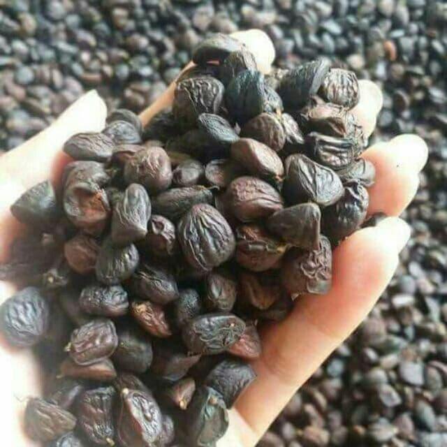 100g hạt dổi nếp rừng