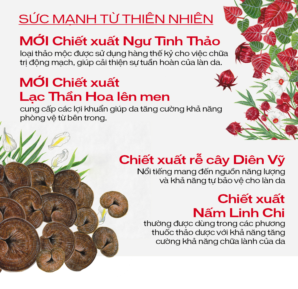[VC 20% DUY NHẤT LIVESTREAM 11H] - Tinh chất dưỡng da Shiseido Ultimune Power Infusing Concentrate 75ml
