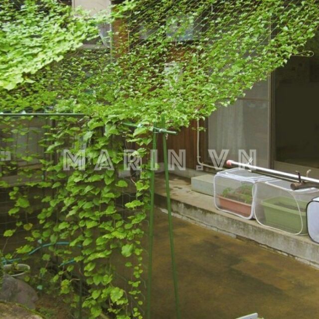 Lưới Giàn Cây Leo Nhiều Kích Thước