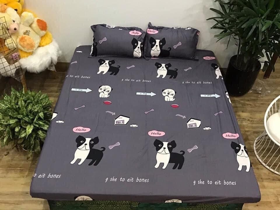 Ga trải giường cotton poly thoáng mát cao cấp