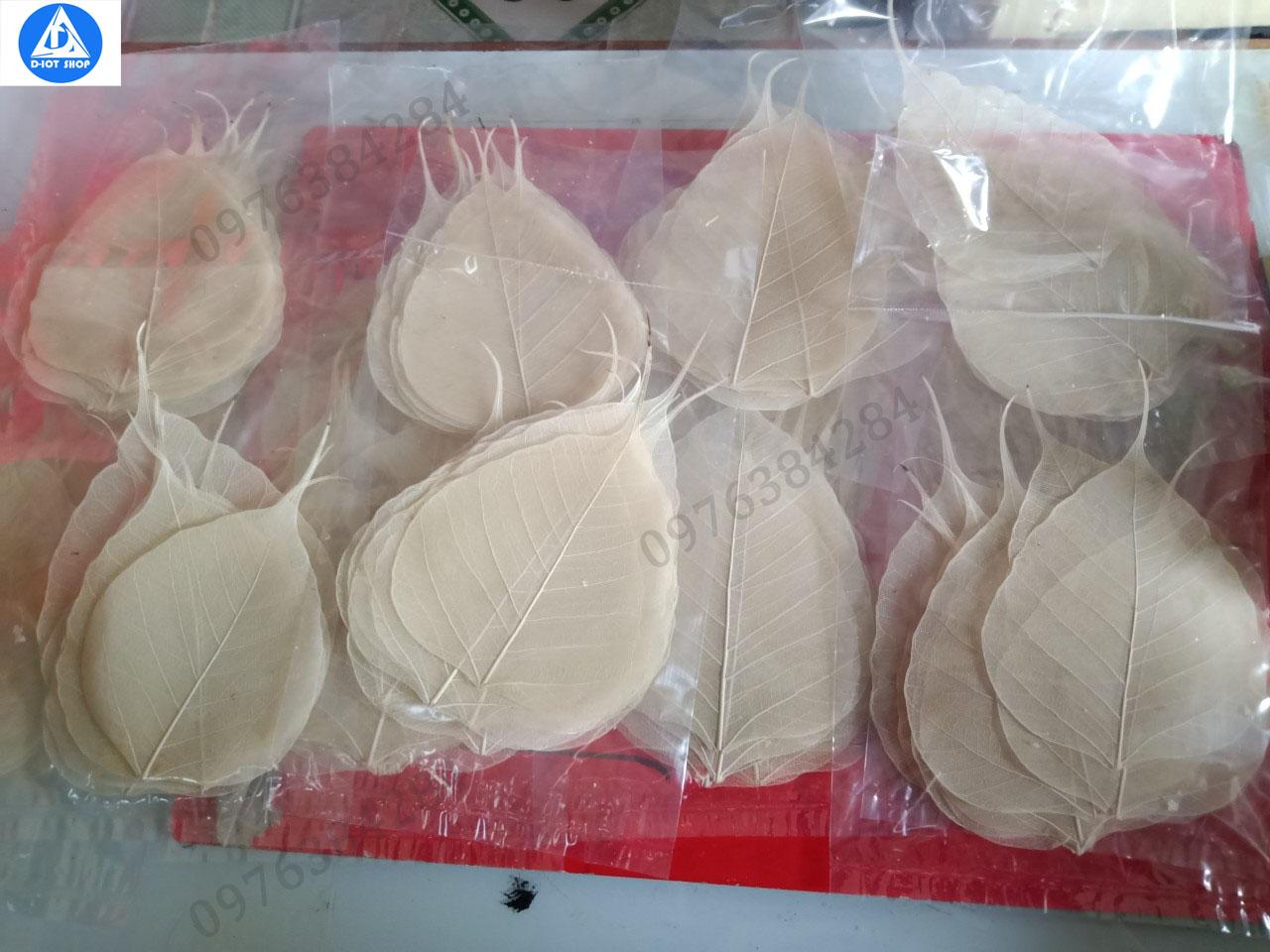 set 20 xương lá bồ đề nguyên bản (tặng 1 cái)