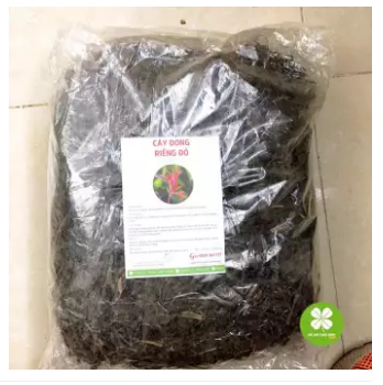 Cây dong riềng đỏ (gói 1kg) - LV162