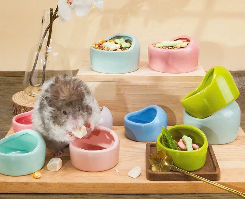 chén vòm trơn size lớn cho hamster /sóc /nhím /fat tail /dumbo / rat -T3 PETS SHOP