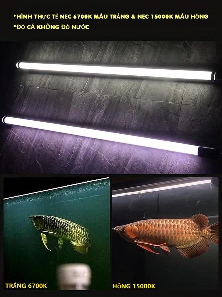 [HCM]ĐÈN CHÌM NEC TANNING CÁ RỒNG MÀU TRẮNG 128CM