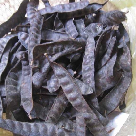 500g bồ kết khô