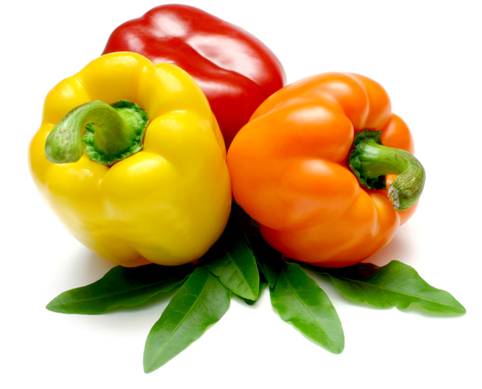 Hạt giống ớt chuông, ớt ngọt năng suất cao 30 hạt