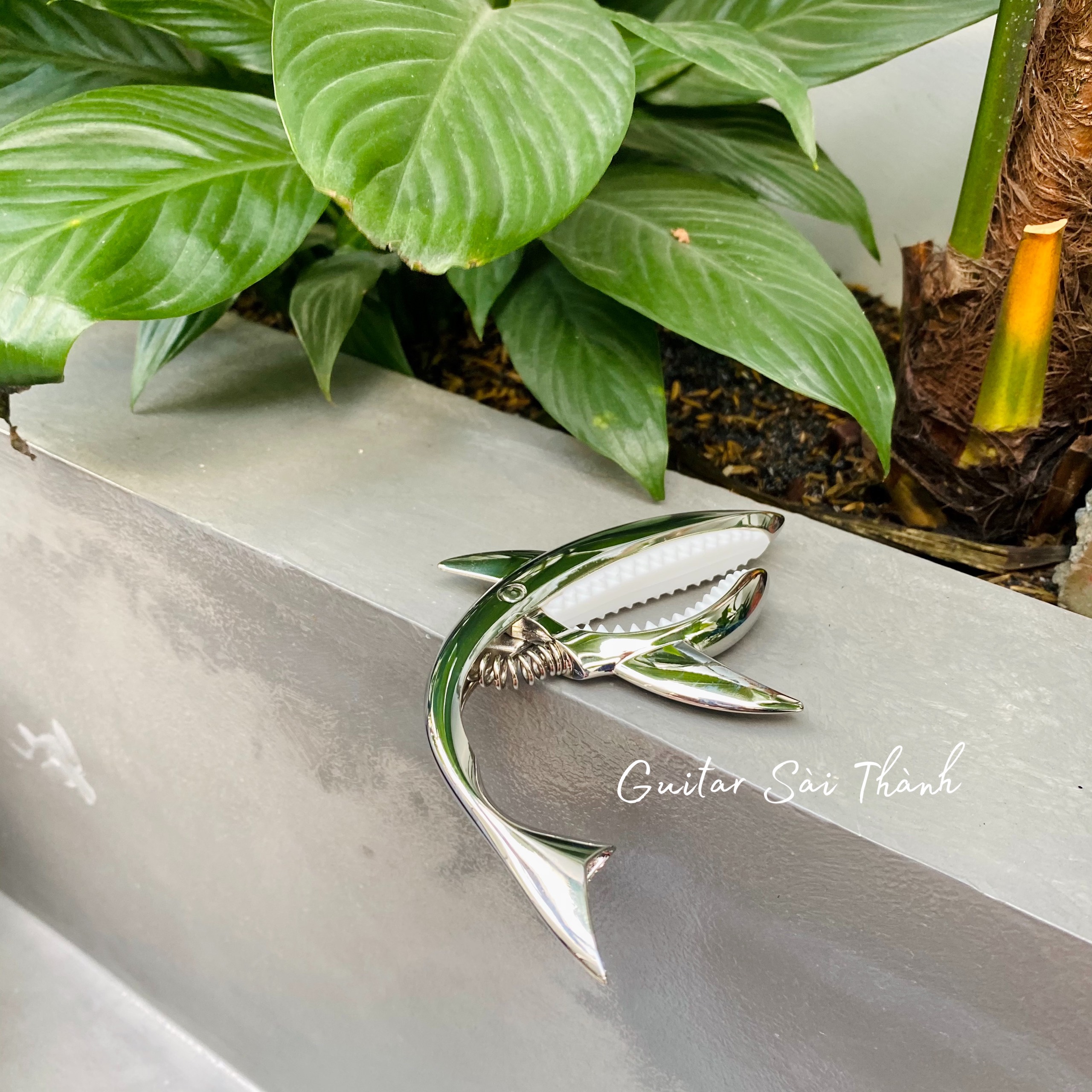 Kẹp Capo Guitar Cá Mập- SHARK CAPO