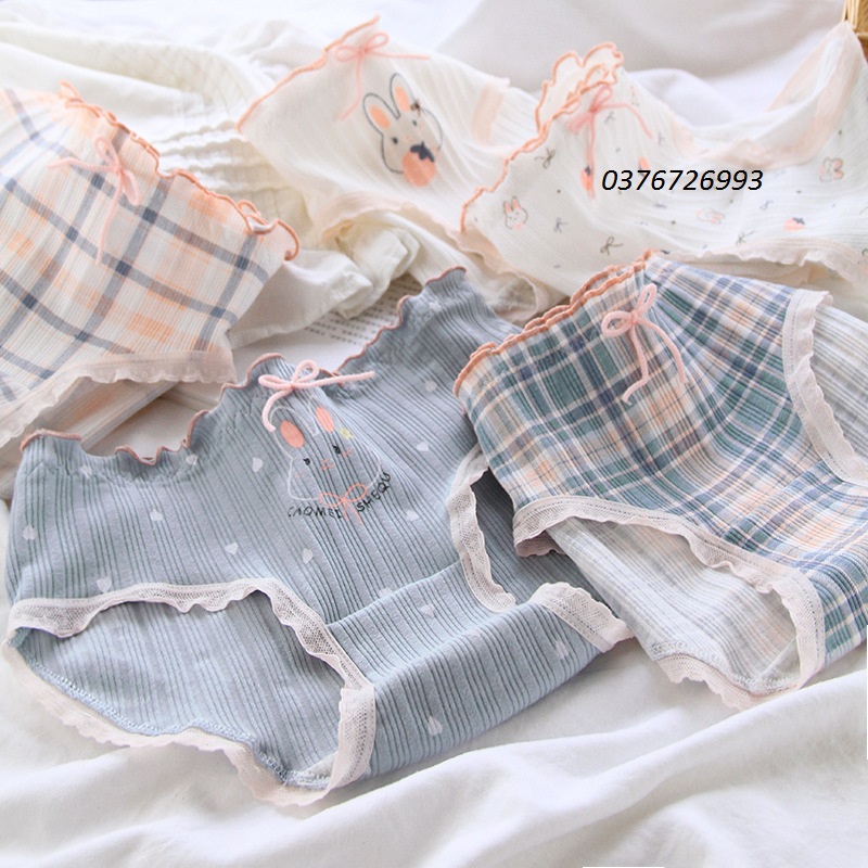Quần Lót Nữ Cotton Thỏ Tai Bèo Ngang Eo ( Q070 ).