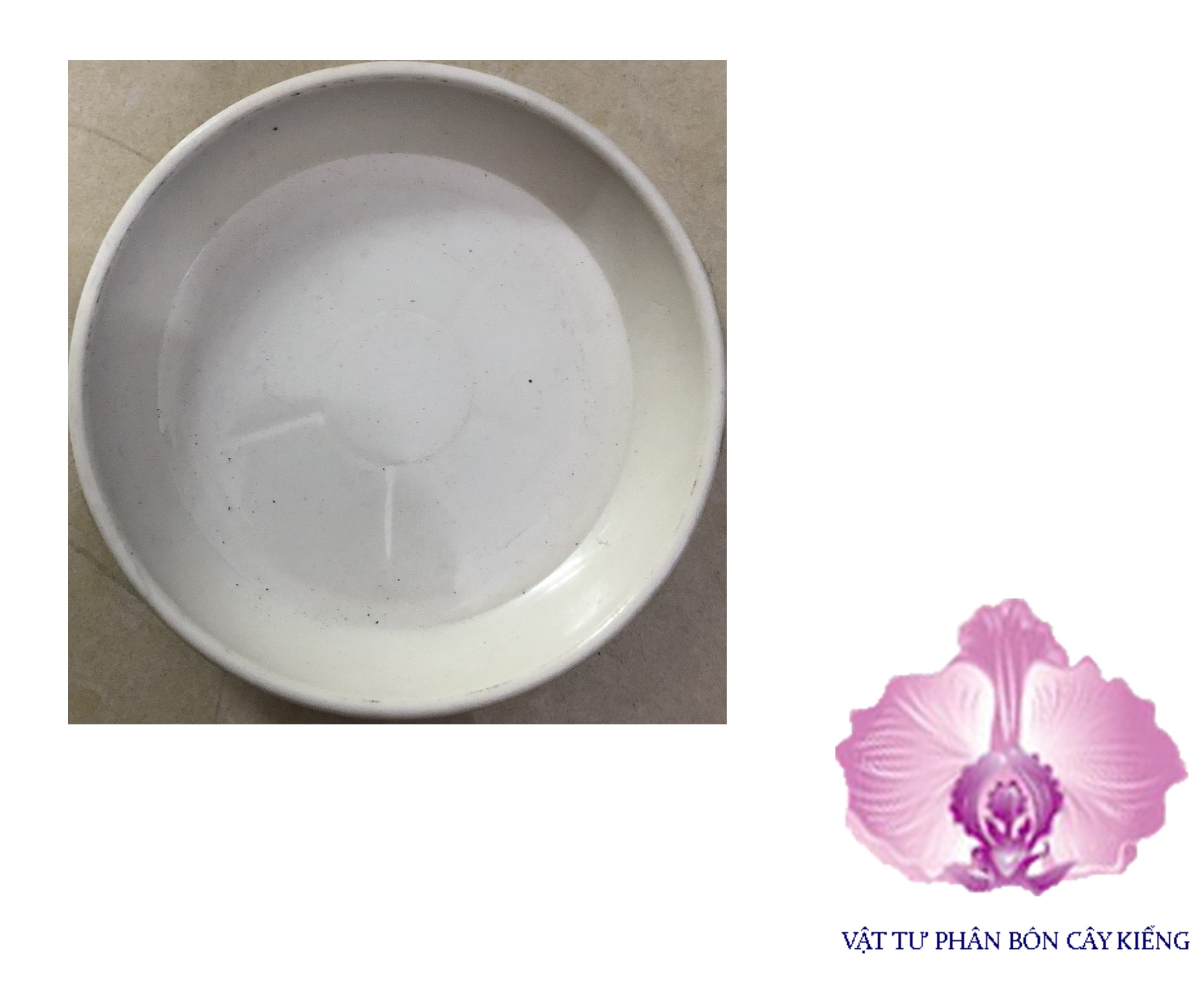 Đĩa lót chậu tròn 15cm - #040d#