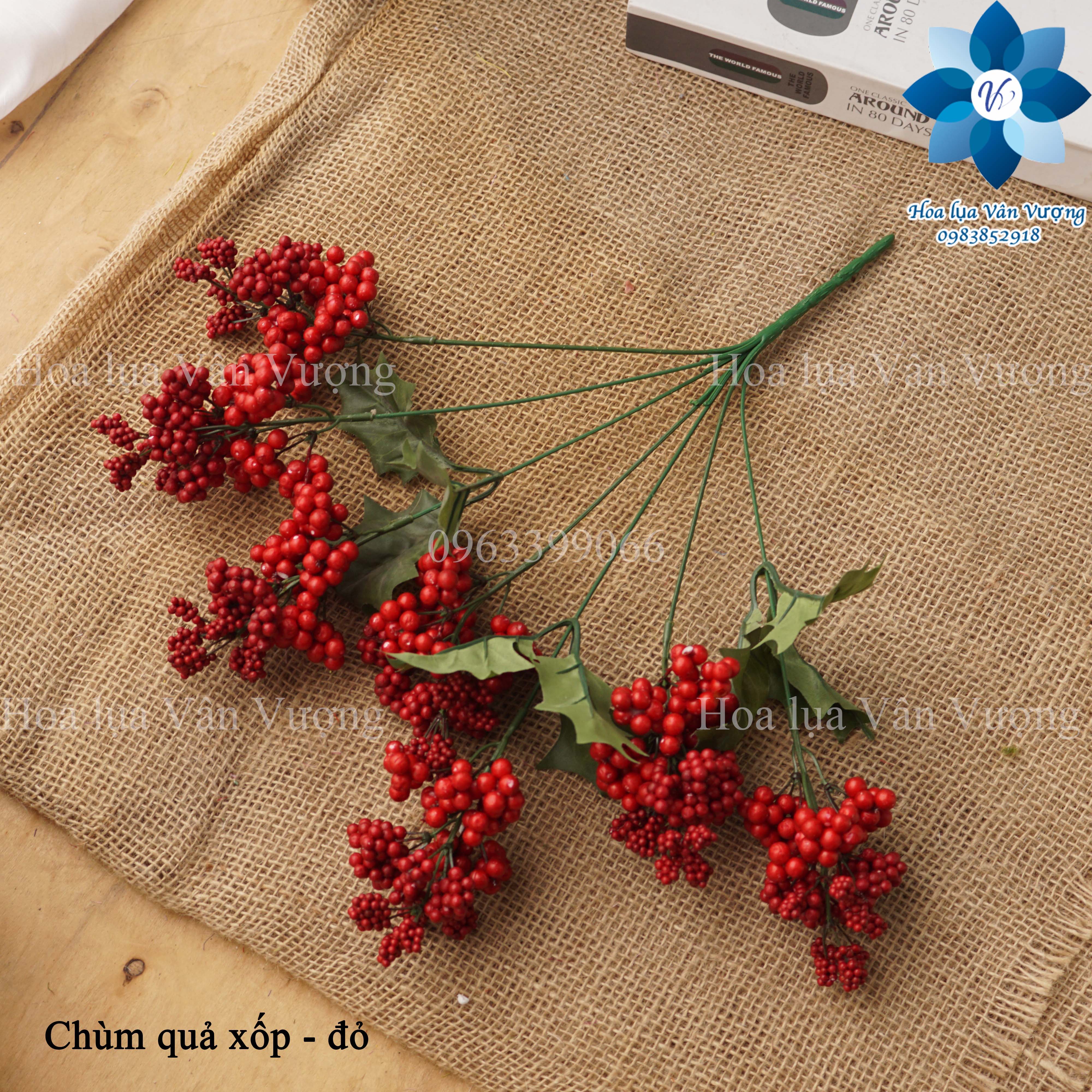 Hoa Giả, Chùm Quả Xốp Điểm