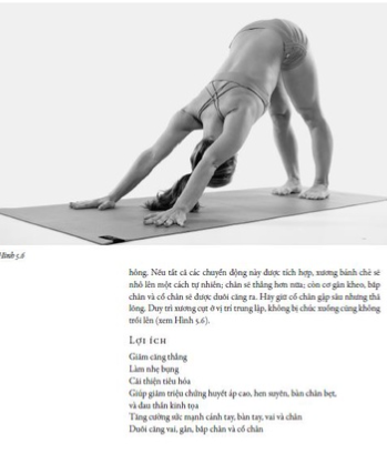 Sức mạnh của Yoga Ashtanga