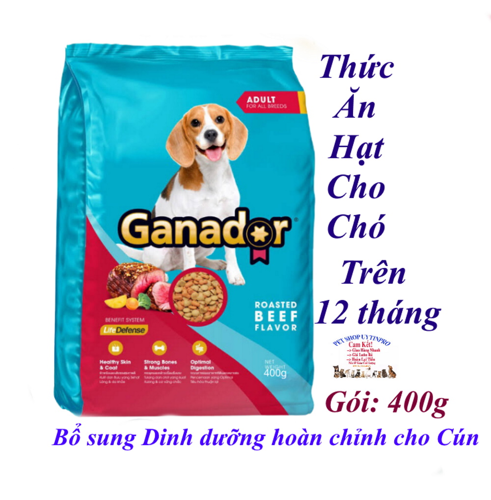 Ganyar adult rotated beef flavor 400g pack cow flavor roast flavor complete sets dog nutrition