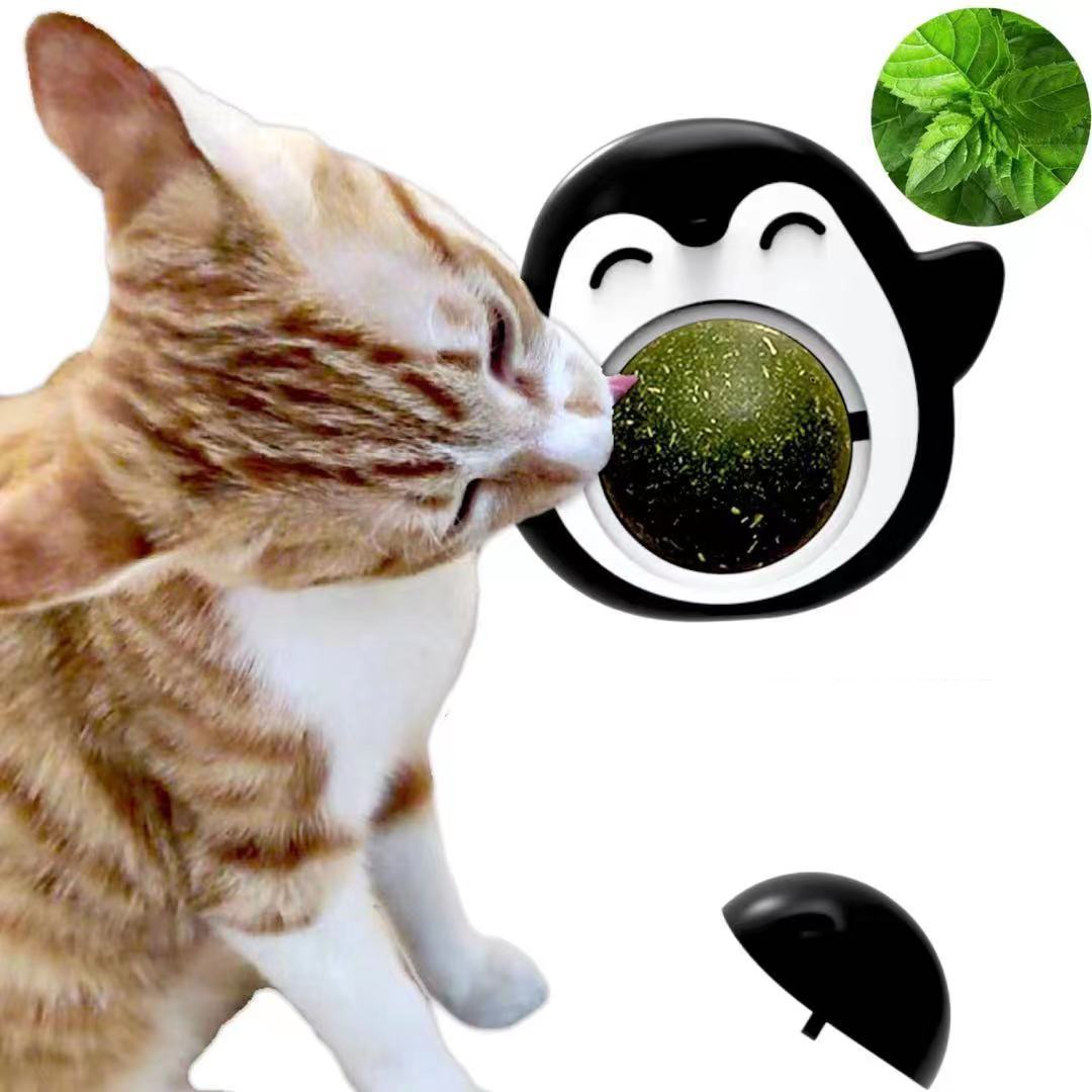 Cỏ bạc hà mèo, catnip dán tường