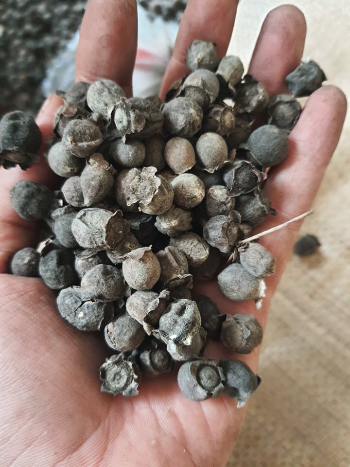 sim chín khô 1kg