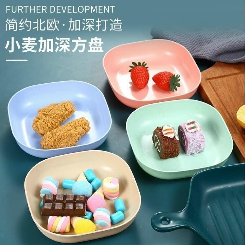 Set 8 đĩa lúa mạch vuông siêu cưng