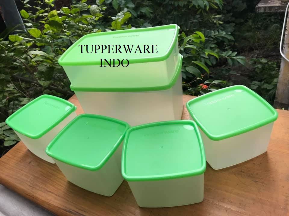 SET 6 HỘP TUPPERWARE INDO TRỮ ĐÔNG