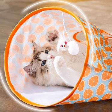 Đồ chơi đường hầm cho mèo