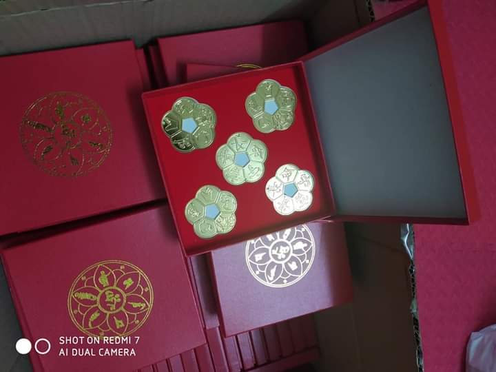 Hộp Hoa mai Kim tiền (làm quà tặng ý nghĩa)