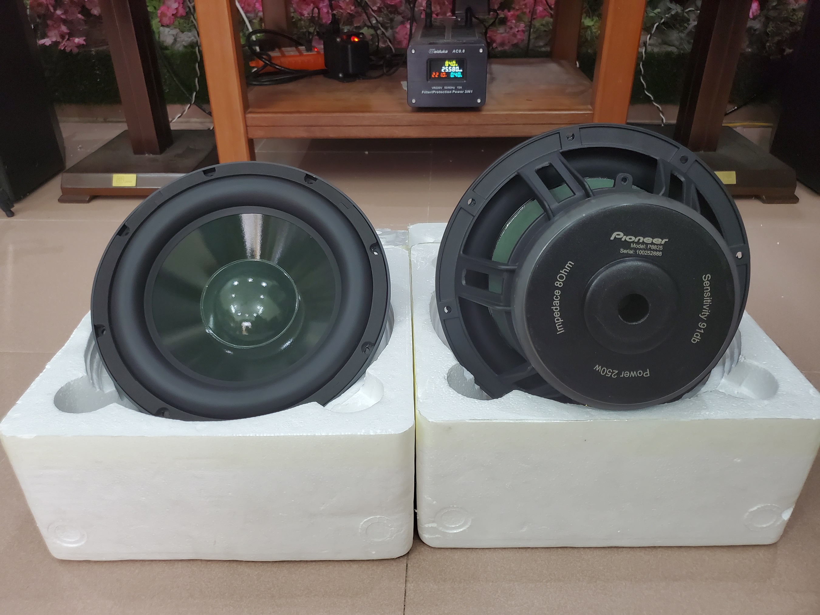 Củ Loa Pioneer Bass 25 Cao Cấp