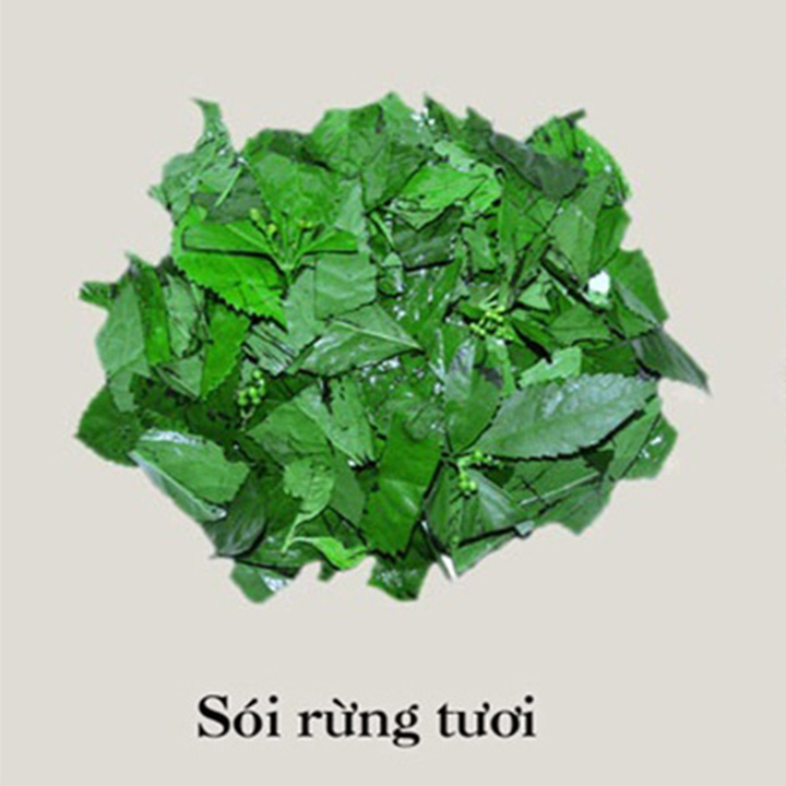 cây sói rừng khô 1kg