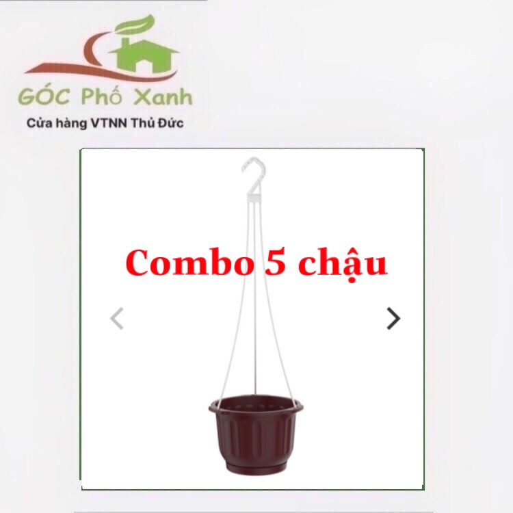 5 chậu treo trồng Hoa nhựa size 22cm