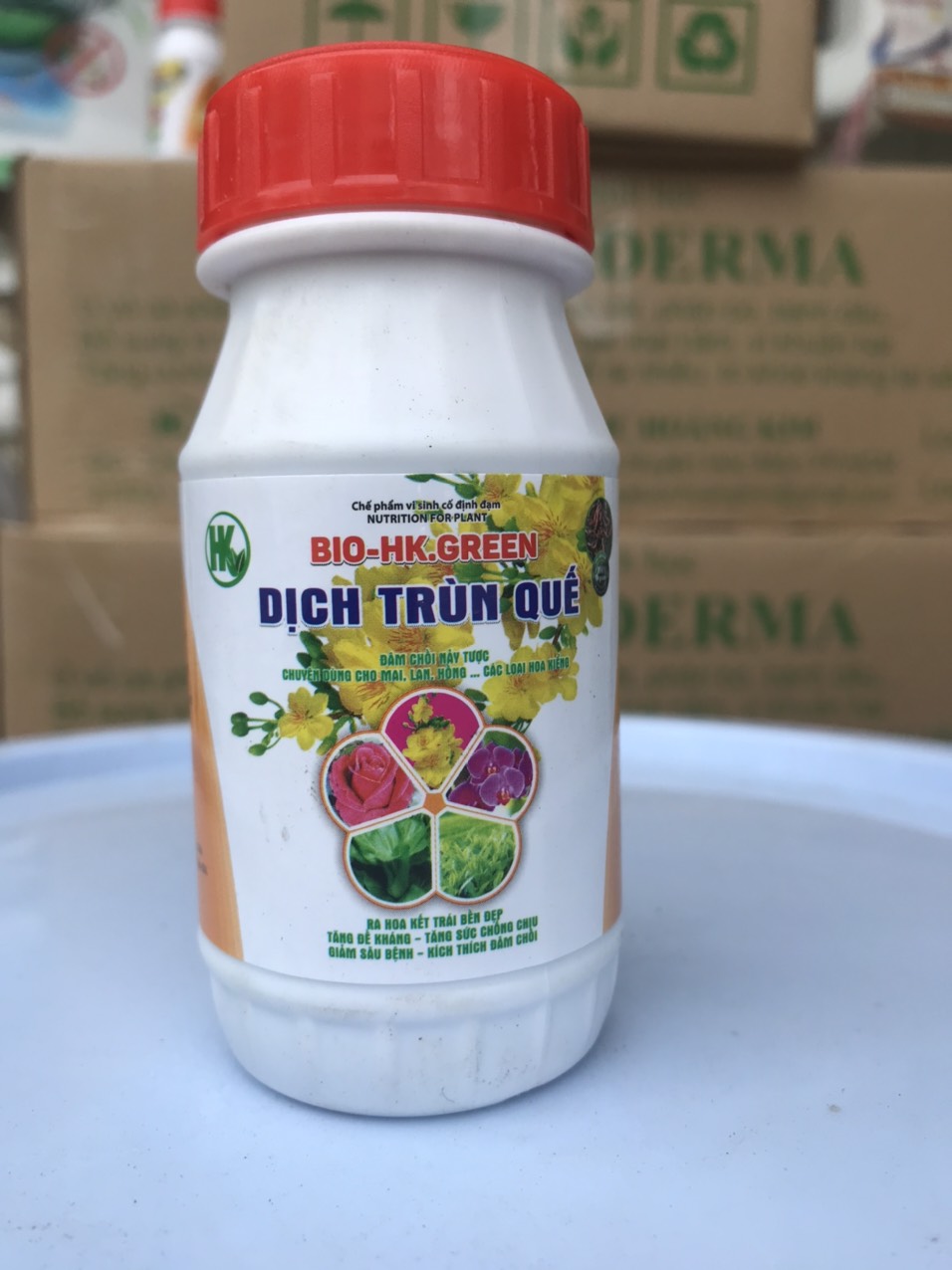 Dịch trùn quế Vi sinh Bio 100ml