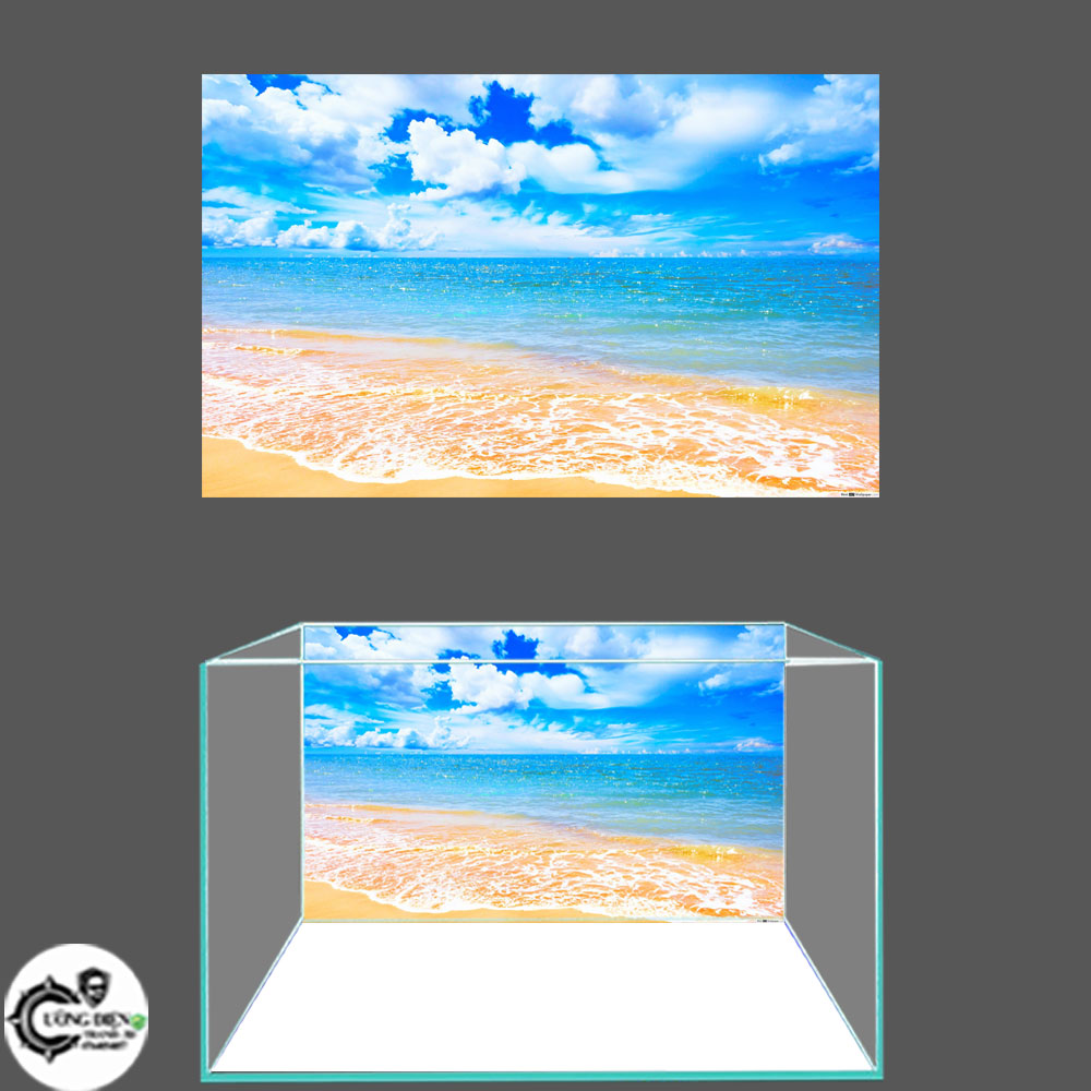 Tranh 3d dán bể cá cảnh - Cường Điện - nhiều kích thướt lựa chọn