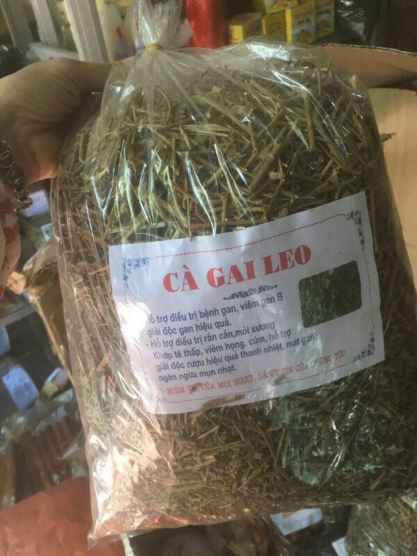 2kg cà gai leo khô