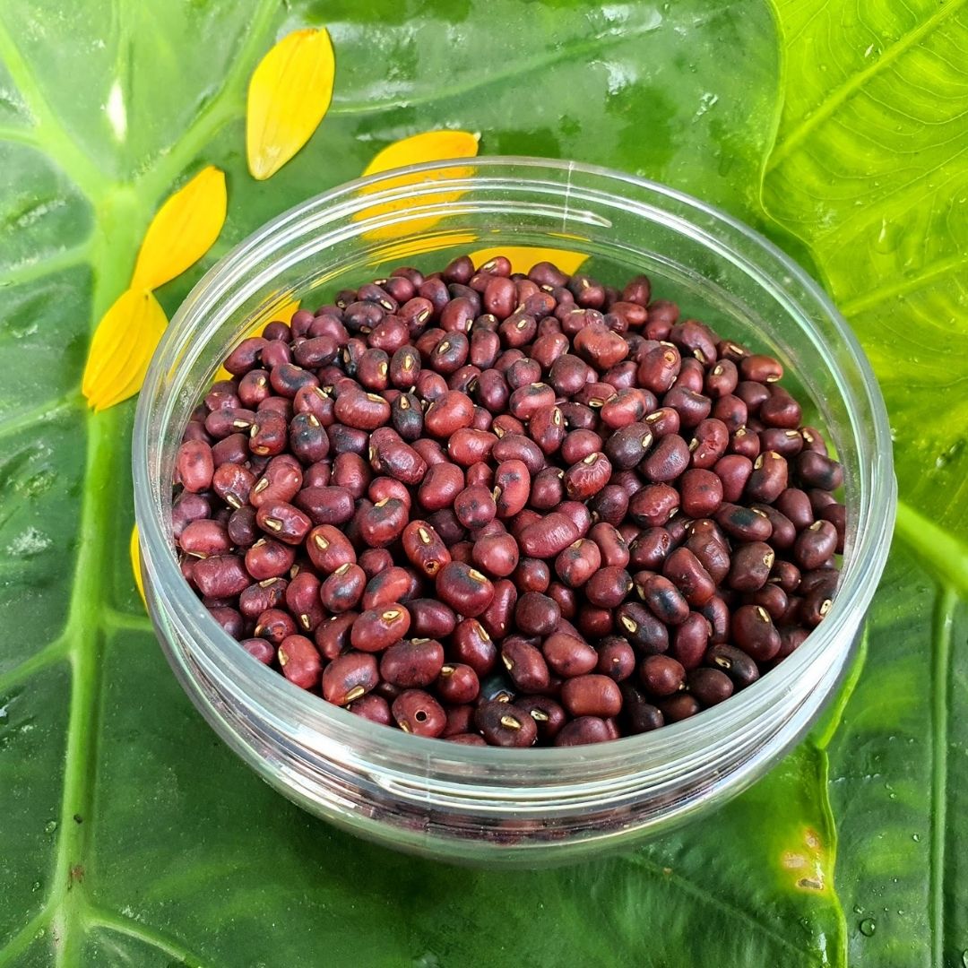 Trà đậu đỏ ÔNG THẮNG - 500G