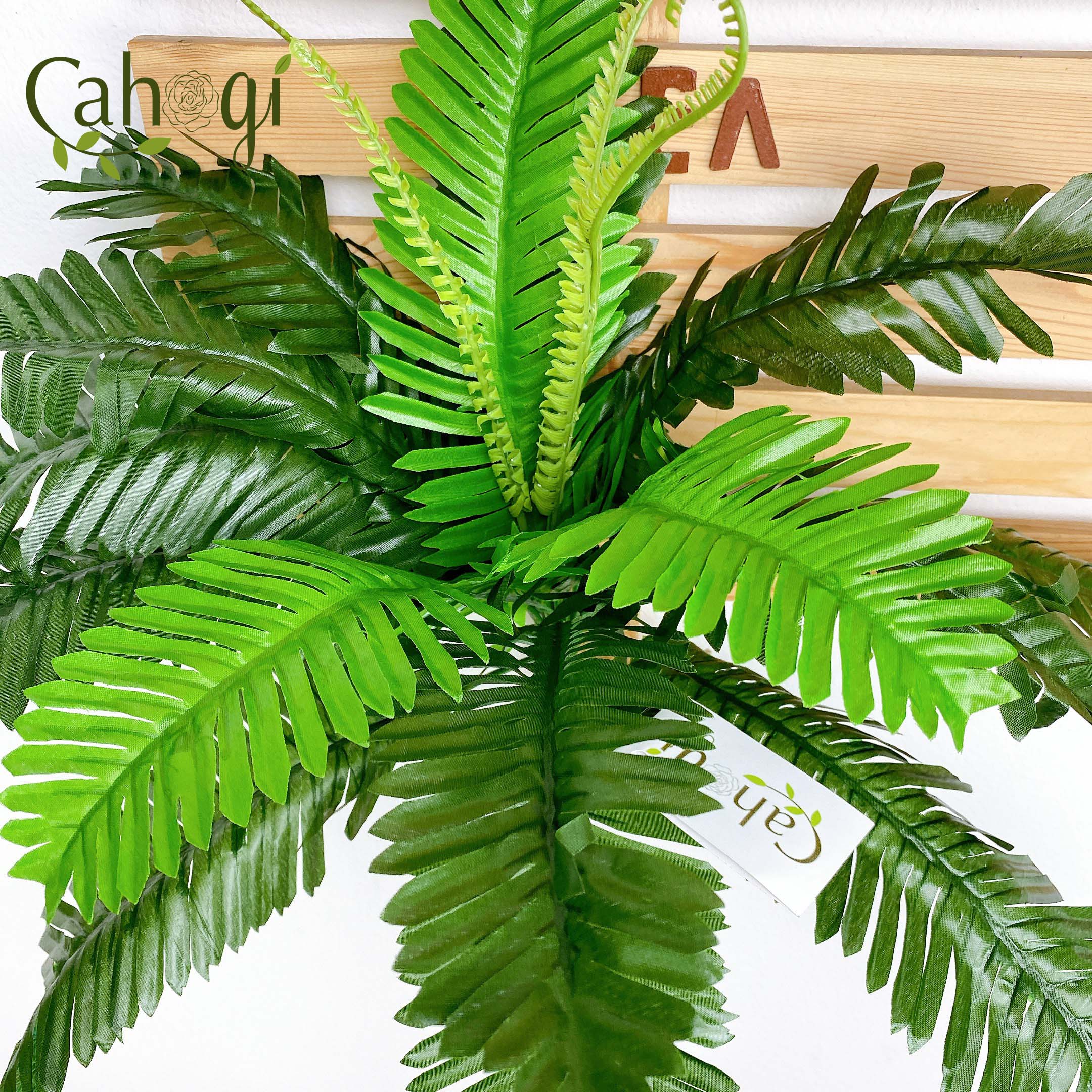 Cây Giả Cây Vạn Tuế Cỡ Trung Bằng Vải