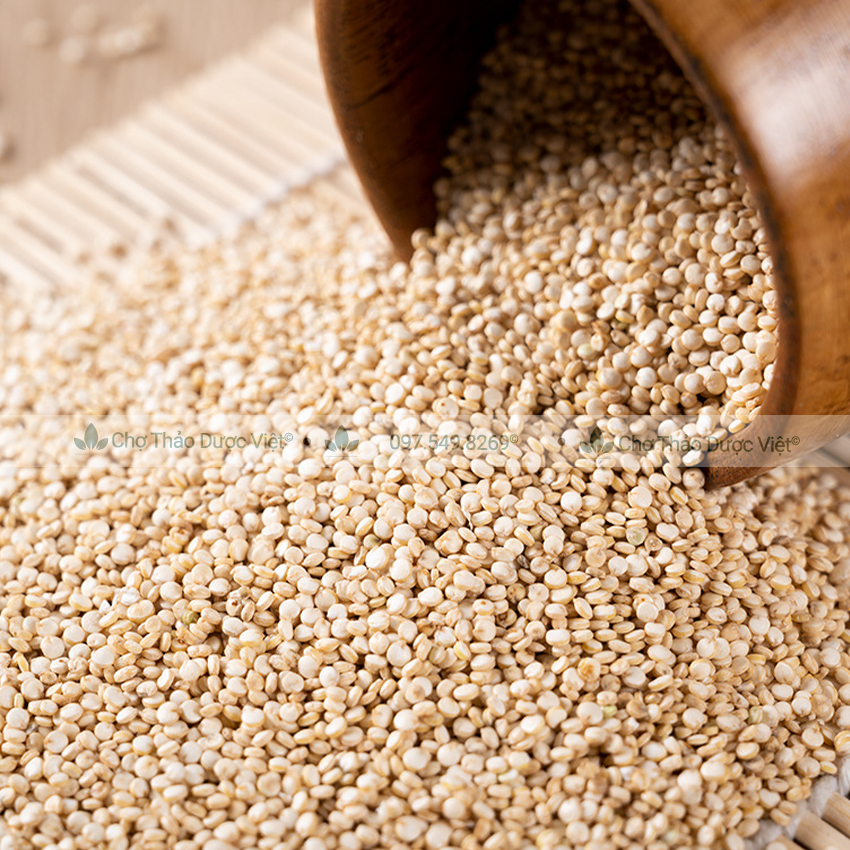 Hạt diêm mạch hữu cơ 500g (Quinoa trắng dành cho người ăn kiêng, làm sữa hạt dinh dưỡng) - Chợ Thảo Dược Việt