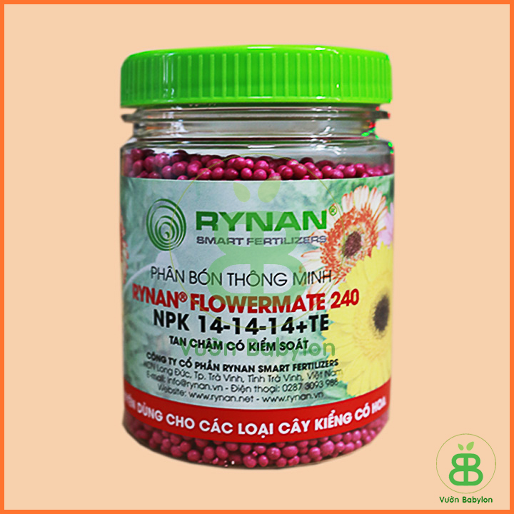 Phân tan chậm rynan 240 dưỡng hoa lâu tàn
