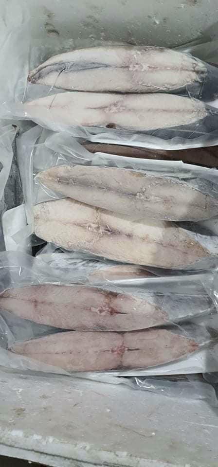 CÁ THU KHÚC 1 NẮNG - Đồ Sơn, HP