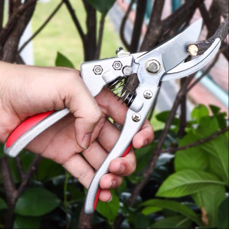 Kéo cắt tỉa cành cây nhật bản