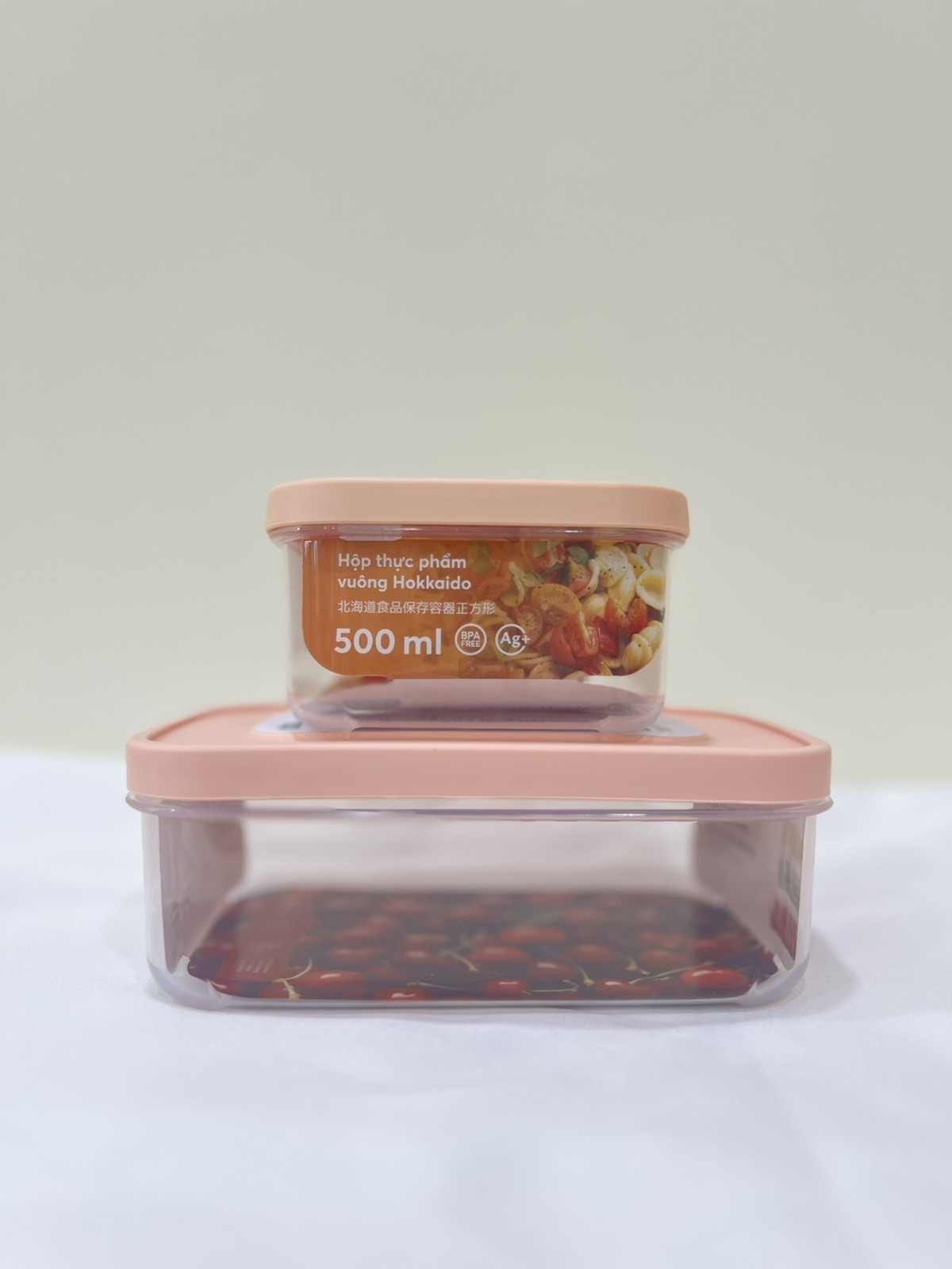 [Hàng tặng không bán - HC Gift] - Combo 2 hộp đựng thực phẩm (Giao mẫu ngẫu nhiên)