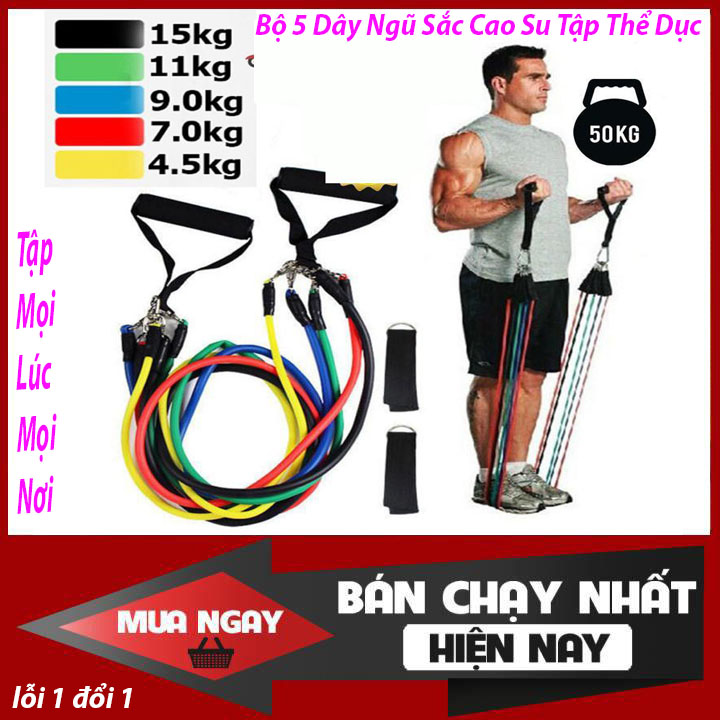 BÁO GIÁ BỘ DÂY KÉO NGŨ SẮC TẬP GYM CHÍNH HÃNG | Shopee Lazada Sendo Tiki mới nhất 32 Bộ 5 Dây Ngũ Sắc Cao Su Tập Thể Dục, Dây Đàn Hồi Kháng Lực Tập Gym, Dây Cao Su Đàn Hồi Tập Thể Thao, Tập Gym Tại Nhà - Chính Hãng miDoctor