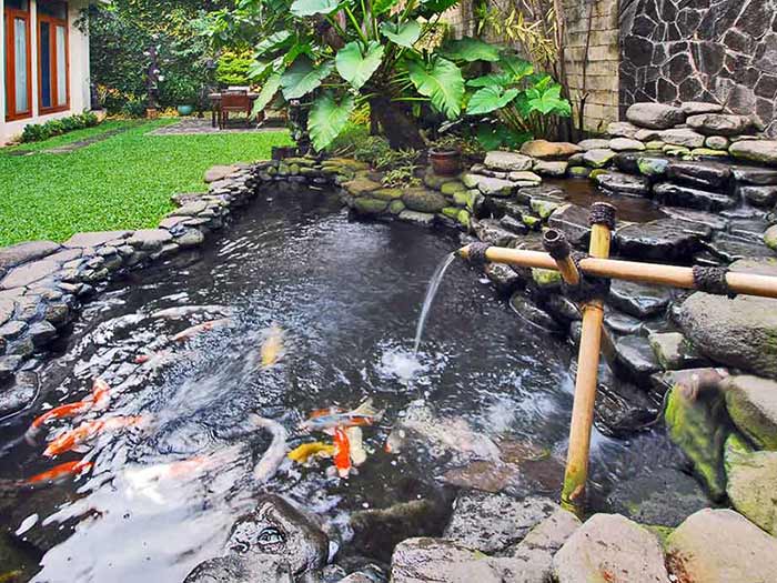 Dụng cụ đo độ PH của nước SERA