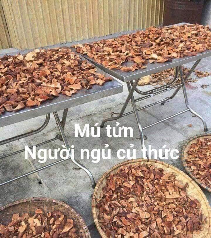 Combo 2kg cây mú từn - cù boong nậu