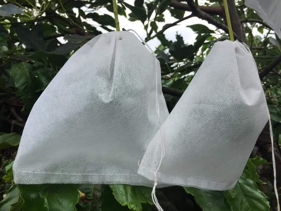 Bộ 50 túi bọc trái xoài (xoài lớn, nan thái,...) kich thước 20x28 cm