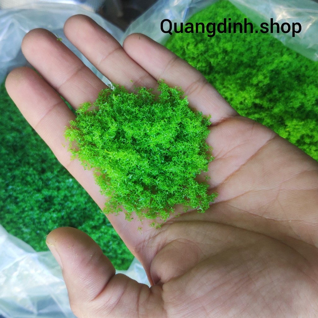 rêu làm mô hình trang trí tiêu cảnh.